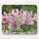 Suche nach der weißen lilie mousepads Mit blumen