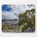 Suche nach immergrün mousepads Blau
