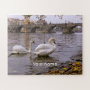 Suche nach schwan puzzle Vögel