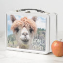 Suche nach lama brotdosen Alpaka