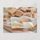 Suche nach süße nahrung postkarten Fotografie