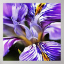 Suche nach halb abstrakt poster Blume