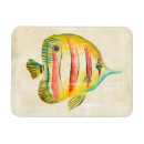 Suche nach bunte fische magnete Seeleben