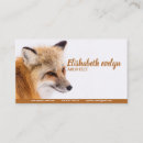 Suche nach roter fuchs visitenkarten Natur
