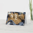 Suche nach beste freunde karten Katzen