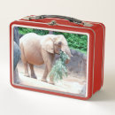 Suche nach elefant brotdosen Zoo