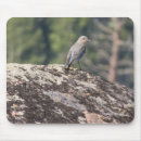 Suche nach granit mousepads Fotografie