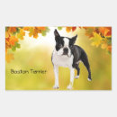 Suche nach boston terrier aufkleber Welpe