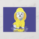 Suche nach weste postkarten Hunde