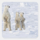 Suche nach andere säugetiere aufkleber Tragen