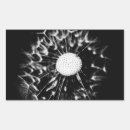 Suche nach löwenzahn aufkleber Blume