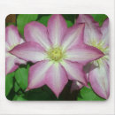 Suche nach trio mousepads Blume