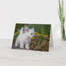 Suche nach west highland terrier karten Welpe