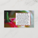 Suche nach kürbis visitenkarten Geschäft