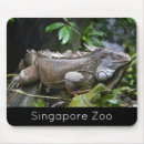 Suche nach reptil mousepads Fotografie