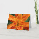 Suche nach thinking of you karten Orange