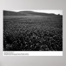 Suche nach gerste poster Landschaft