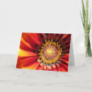 Suche nach funk karten Blume