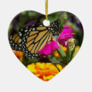 Suche nach monarch butterfly ornamente Foto