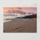 Suche nach grüße von hawaii postkarten Strand