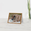 Suche nach chow chow karten Gruß