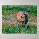 Suche nach verblassen poster Tun