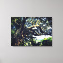 Suche nach alter baum leinwandbilder Natur