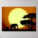 Suche nach elefante poster Afrika