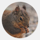 Suche nach douglas aufkleber Natur