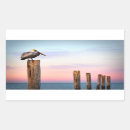 Suche nach pelican aufkleber Ozean