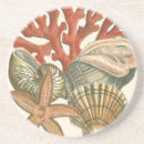 Suche nach seestern untersetzer Ozean