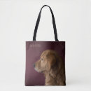 Suche nach golden retriever taschen Welpe