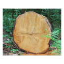 Suche nach protokolle poster Wälder