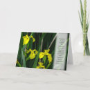 Suche nach wilde iris Blätter