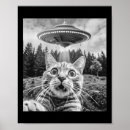 Suche nach haustier porträts Katzen