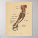 Suche nach vintage deutsche poster Druck