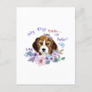 Suche nach lustige katzen hunde postkarten Hundefreund