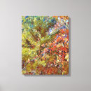 Suche nach bunter baum leinwandbilder Herbst