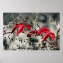 Suche nach leinwanddrucke poster Botanisch