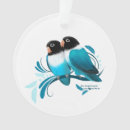 Suche nach verdeckter lovebird Lovebirds