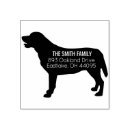 Suche nach goldener labrador Retriever