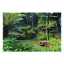 Suche nach wälder kunst poster Bäume