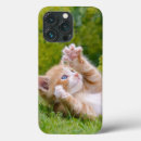 Suche nach glückliche katze iphone hüllen Katzen