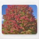 Suche nach ahornbaum mousepads Herbst