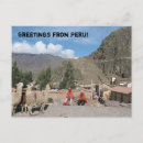 Suche nach lamas postkarten Peru