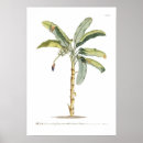 Suche nach bananen poster Illustration