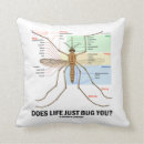 Suche nach entomologie kissen Biologie