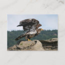 Suche nach adler visitenkarten Wild