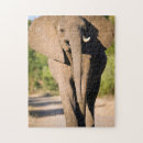 Suche nach afrikanischer elefant puzzle Tier
