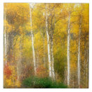 Suche nach fallen fliesen Saison